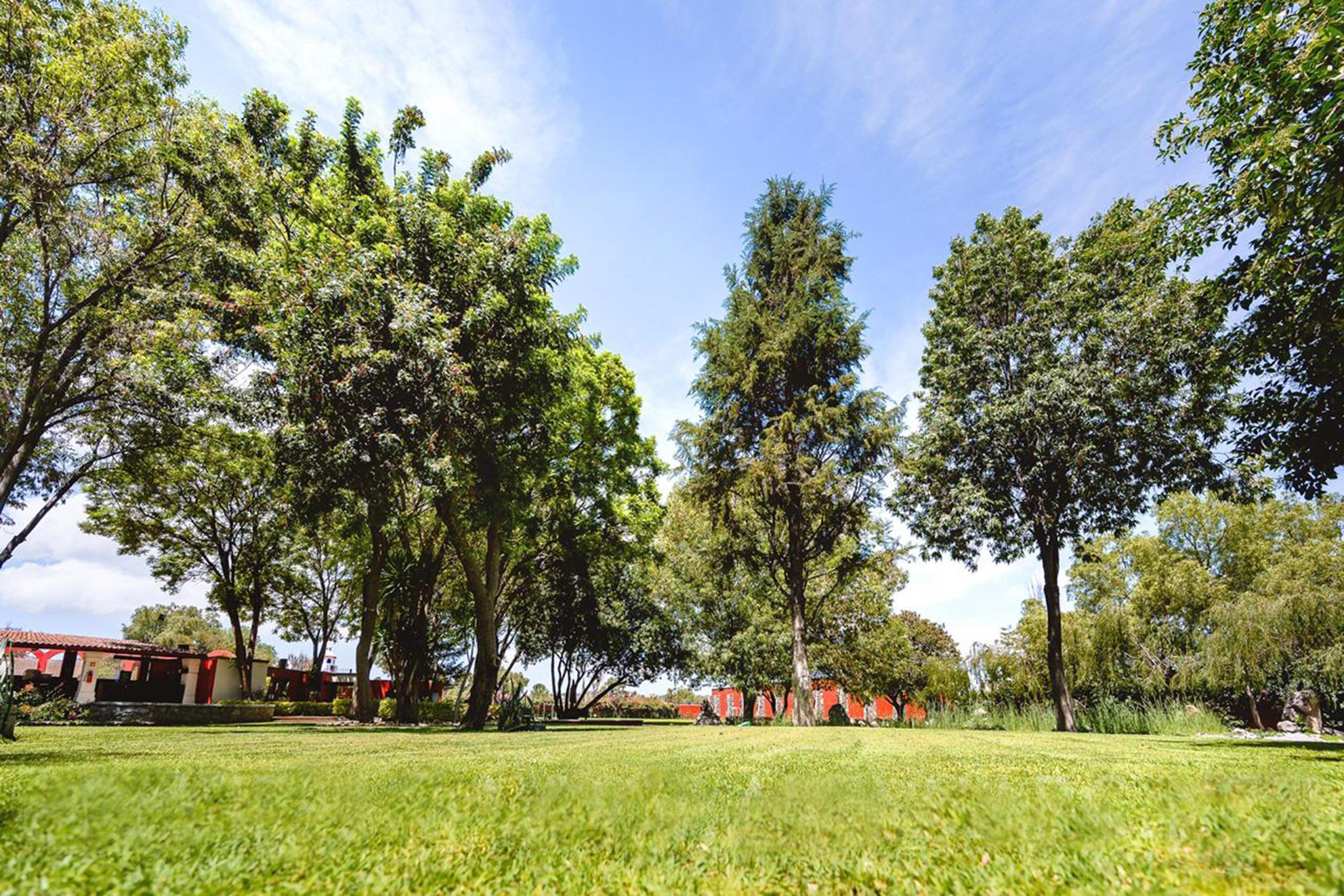 Real De Minas San Miguel De Allende Exteriér fotografie The park