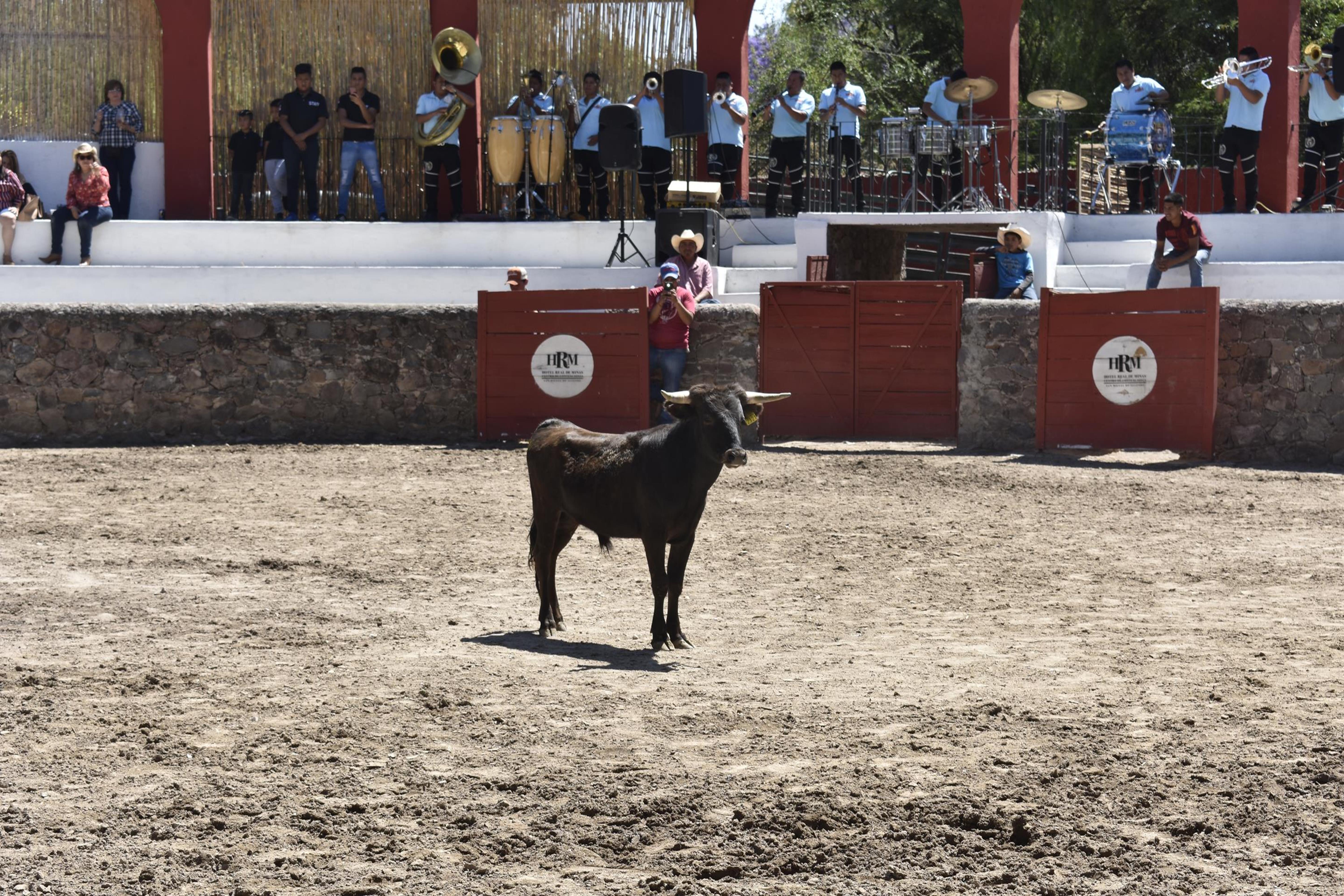 Real De Minas San Miguel De Allende Exteriér fotografie A bull in the bullring