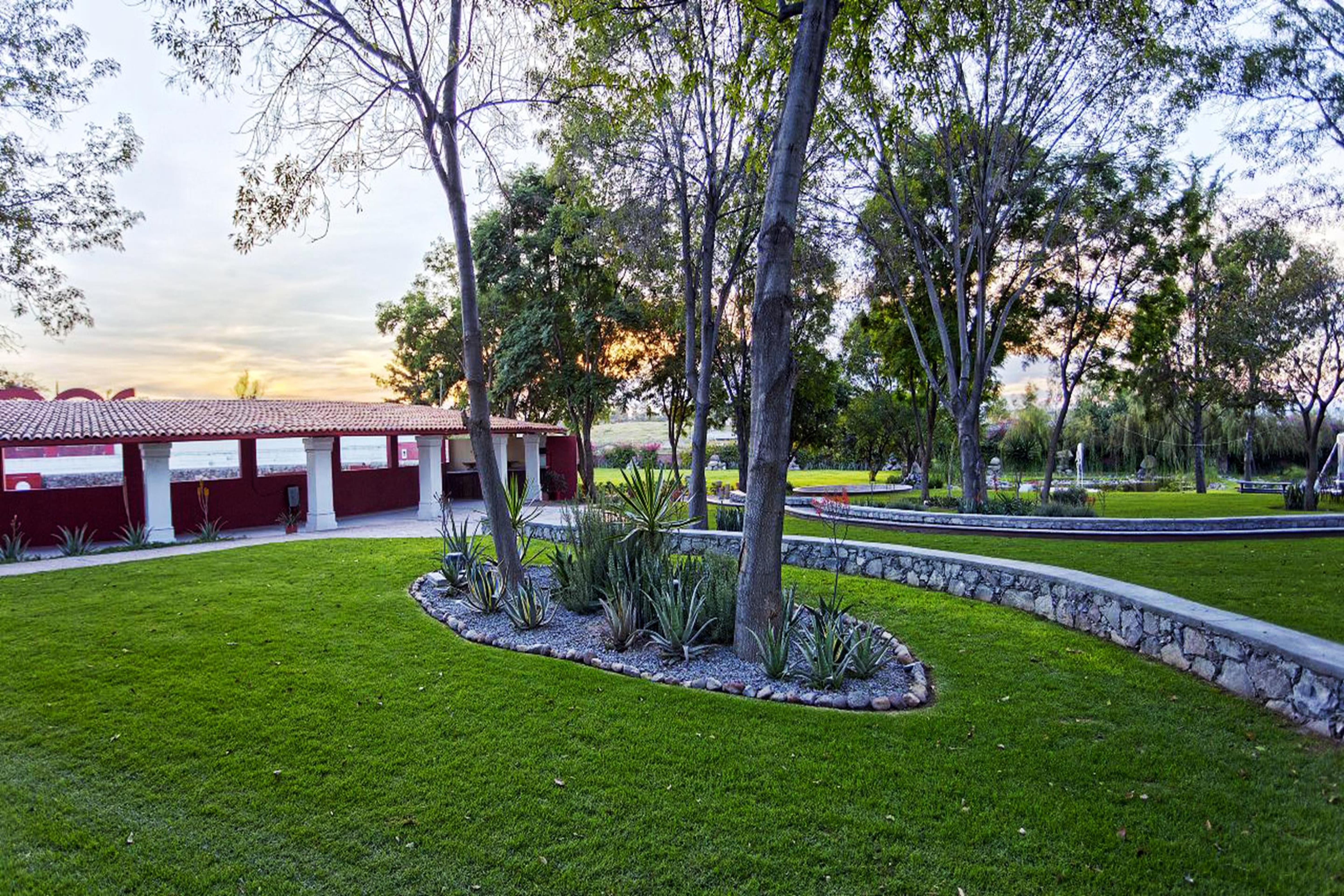 Real De Minas San Miguel De Allende Exteriér fotografie View of the park