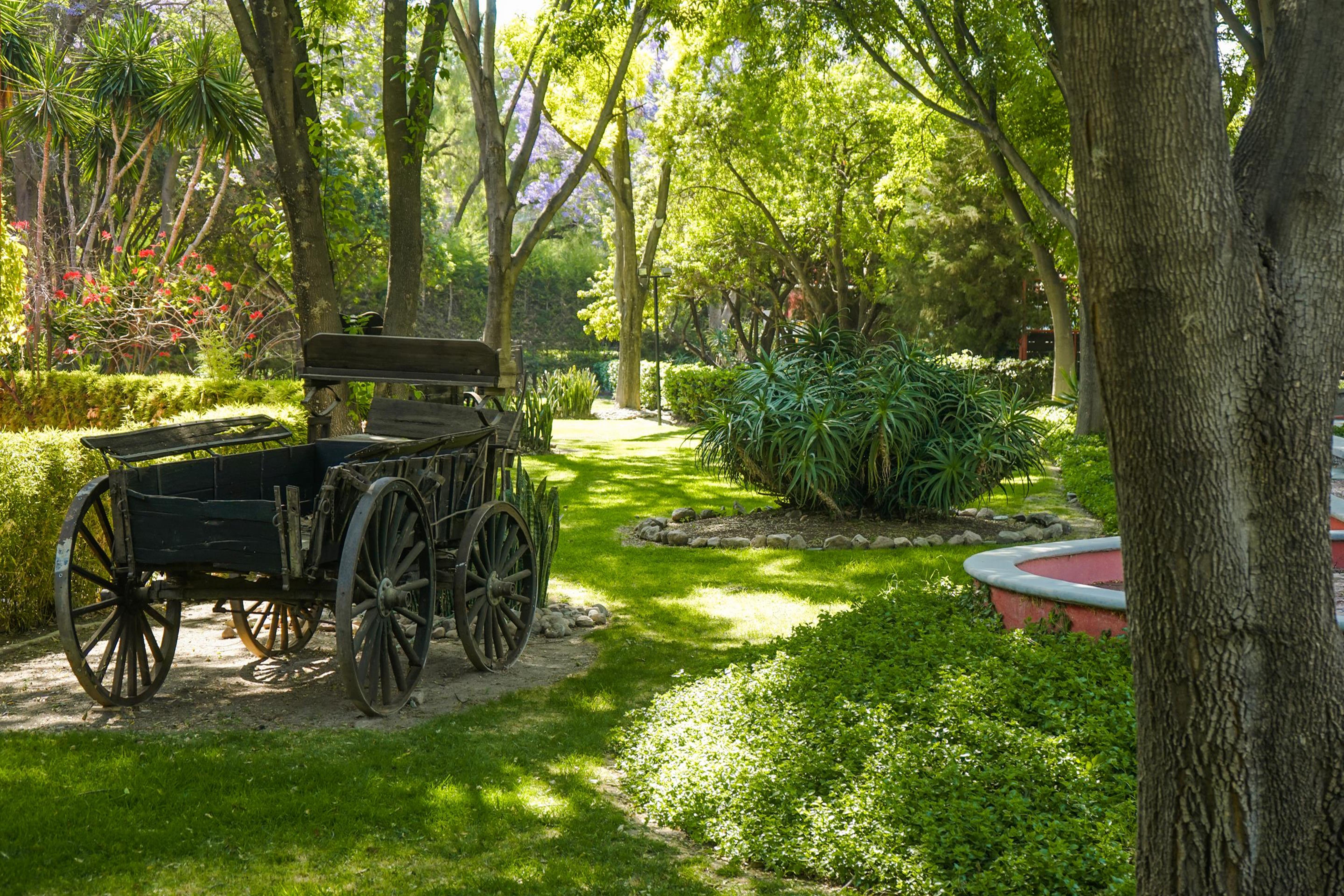 Real De Minas San Miguel De Allende Exteriér fotografie The gardens of the museum